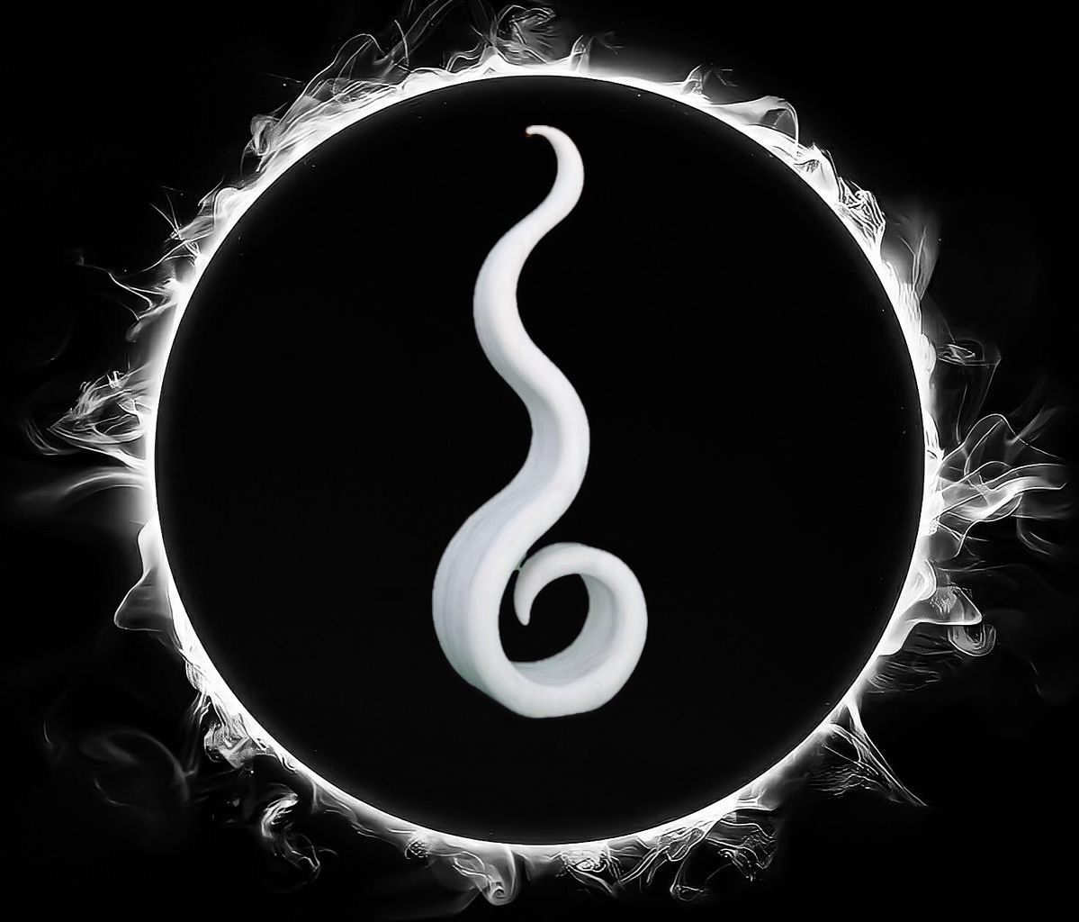 Luxury Marble Sculpture Collection Captivates Interior Design Community