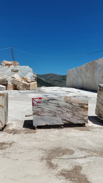 Bianca Foresta Marble: A Stunning Natural Stone Captivating Design Trends